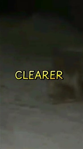 I Started Hearing My Name In A Reddit Live Stream But No One Else Could