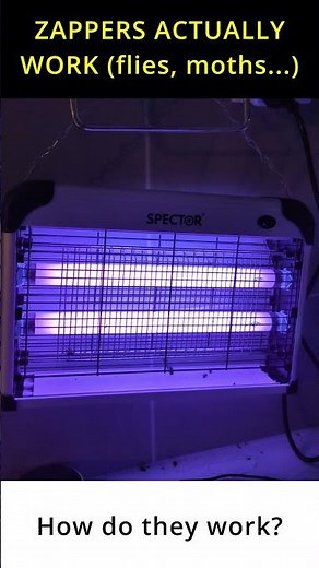 Bug Zappers Do Work - You need to know HOW to use them