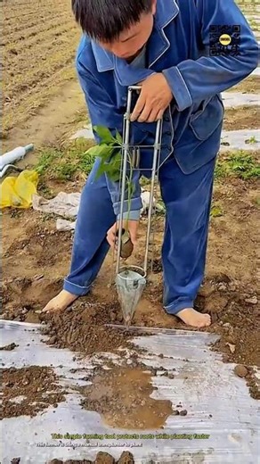 Manual Transplanter Helps Protect Young Plant Roots #9work