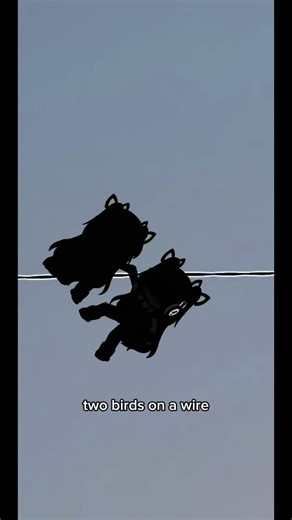 Gacha club and Gacha life