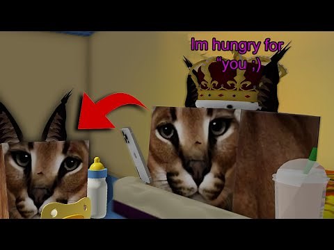 Raise A Floppa 2 How Many Children Can Queen Floppa Produce? ..