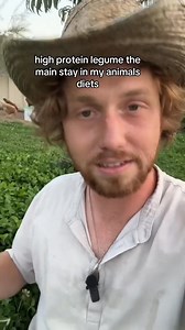 496K views · 31K reactions | I planted a clover lawn now it feeds my homestead | Garden Idea | Facebook