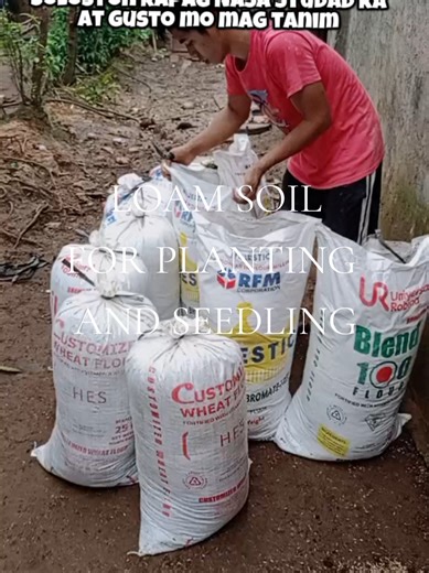 Loam Soil for Successful Planting and Seedlings