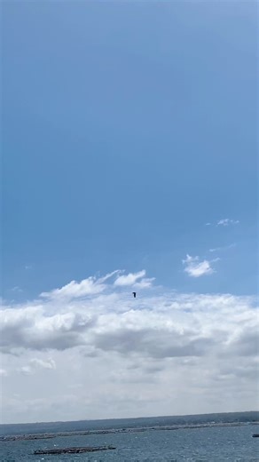 Exploring the Skydrive 125 Indo Concept