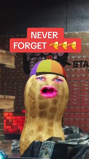 Happy Memorial Day from Peanut 🫡❤️ . . . . . #theburntpeanut #theburntpeanutfunny #theburntpeanutclips #fyp #foryoupage @theburntpeanut