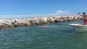 3.6K views · 141 reactions | What do lifeguards do in the off season? We are always training! This week is vessel rescue swimmer training! | Volusia County Beaches | Facebook