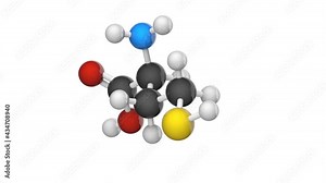 Chemical structure of homocysteine (Hcy) amino acid. Formula: C4H9NO2S. 3D render. Seamless loop. Chemical structure model: Ball and Stick. White background