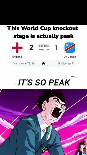 FIFA World Cup meme #memes #funnymemes