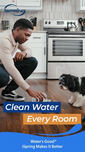 Did you know your whole family is exposed to contaminated water every day? From showers to laundry, even the pup's bowl! iSpring Elite Series filters it all for a healthier home. Every room, every drop. Discover Whole-Home Wellness today and give your loved ones the best! | ISpring Water Systems
