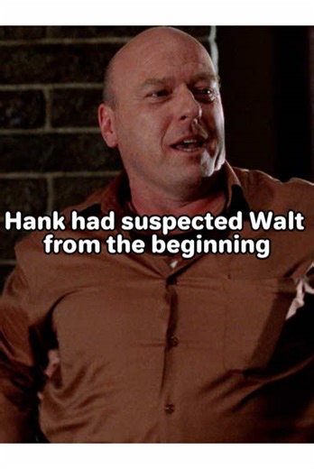 Hank had suspected Walt from the beginning#breakingbad #walterwhite #hank #fyp #usa