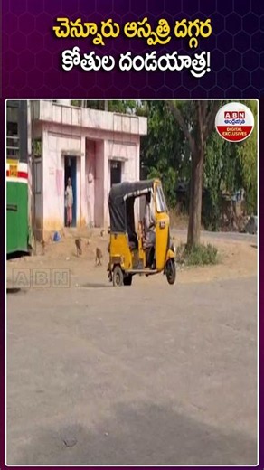 చెన్నూరు ఆస్పత్రి దగ్గర కోతుల దండయాత్ర! #Monkeys Hulchal at #Chennur Hospital #shorts #viral