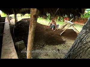 Vermicompost pit in rural Uttar Pradesh