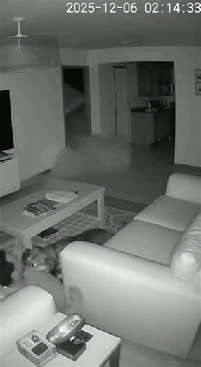 Golden Retriever Pulls Owner Away Seconds Before Kitchen Gas Explosion