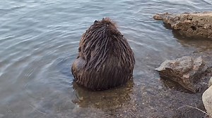 42K views · 2.5K reactions | In this video from late June, I was...