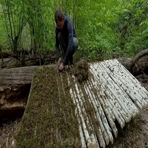 Secret shelter under the trunk of a large oak tree. Bushcraft. Cooking on a fire. Part 13 | May Maurice | Facebook