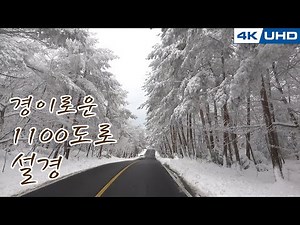 한국의길76. 제주도 1100도로 경이로운 설경/Korea's Road76. Jeju island 1100 Road in Winter(Snow Scene)