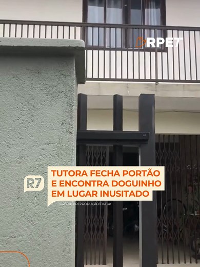 Doguinho em cima da caixa de correio: a diversão de Gabriela