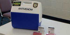 Grand Strand locals help save North Carolina man from venomous snake bite