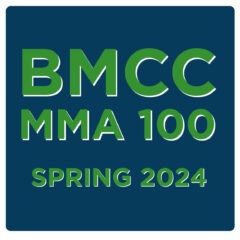 Assignment #4 – MMA100-Spring-2024