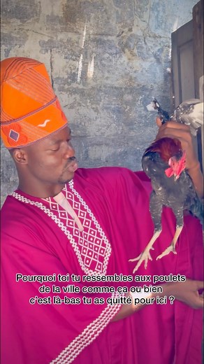 30K views · 919 reactions | Au village | Papyrus M.H.T | Facebook