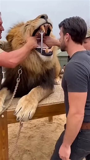 Vlad on Instagram: "🔞"