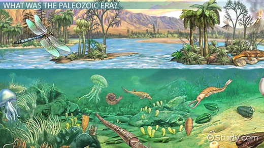 Paleozoic Era | Definition, Events & Timeline