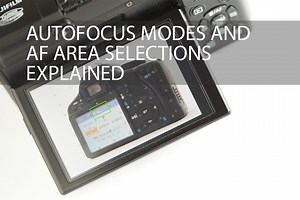 Autofocus modes and AF area selections explained