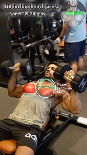 How to Do Dumbbell Incline Bench Press || Proper Form