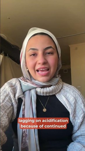 SDG of the Day - Life Below Water (SDG 14)