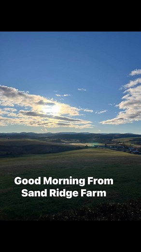 16 reactions · 13 comments | Good Morning From Sand Ridge Farm | Joyce Thompson Sandridge | Facebook