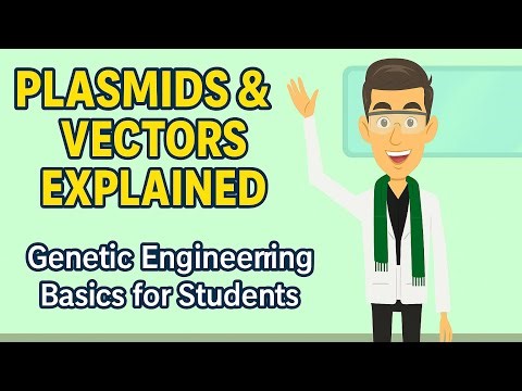 Gene Transfer Basics in Genetic Engineering, Vectors and plasmids explained.