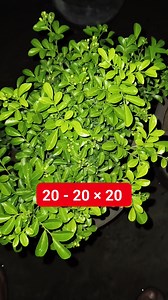 Math Test y | M Mathematics