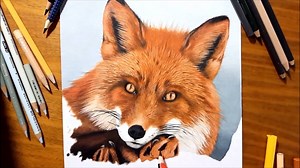 Photorealistic Red Fox Speed Drawing (by Jasmina Susak) More News : Like Fubiz on Facebook ✏️ | Fubiz