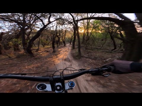 Fall Line - Red Hill MTB