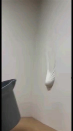 How Many Fingers? A Fun Exploration