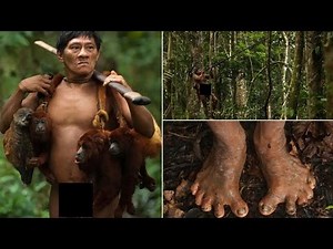 Historical Fact :The Huaorani tribe, also known as Waorani or Waos. #wildlife #tribe #research