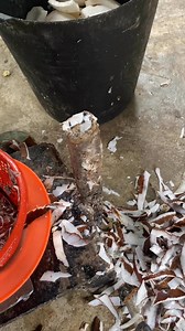 💪💪 #asmr #ngupaskelapa #semuaorangjangkauanluas #fyppppppppppppppppp | Renaldi