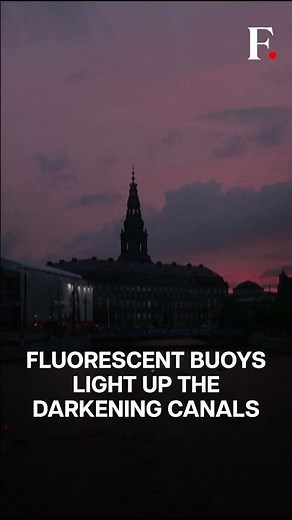 Swimmers in Denmark's Copenhagen Take On Waterways At Sunset | Subscribe to Firstpost