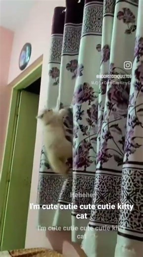 dora baby😽#viral #funny #comedy #cute #viralvideo #viralshorts #love