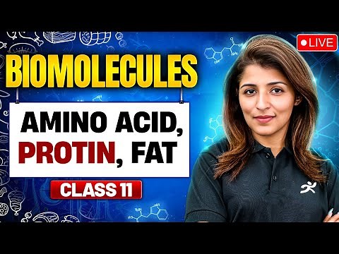 Biomolecules: Amino Acids, Proteins & Fats | Class 11 Biology | NCERT Explained | Tina Ma'am