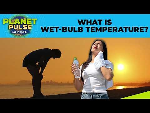 Deadly Wet-Bulb Temperature: The Heat Threshold Humans Cannot Cross | Planet Pulse