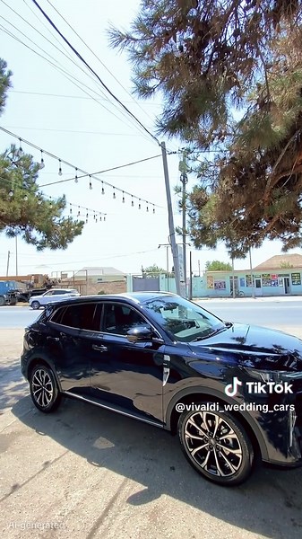 vivaldi_wedding_cars on TikTok