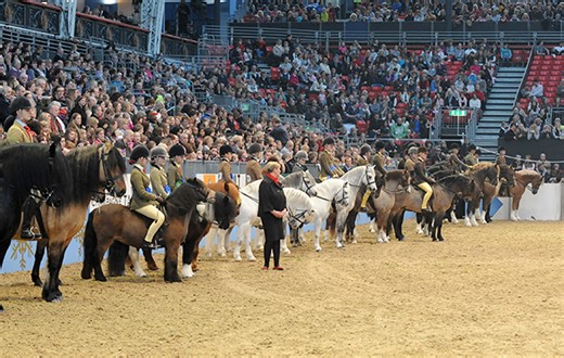 7 things adult riders who have ponies are sick of hearing