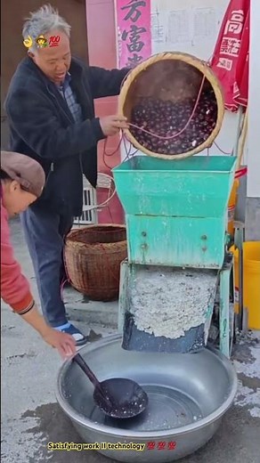 Process of chestnut 🌰 … Crushing for flour