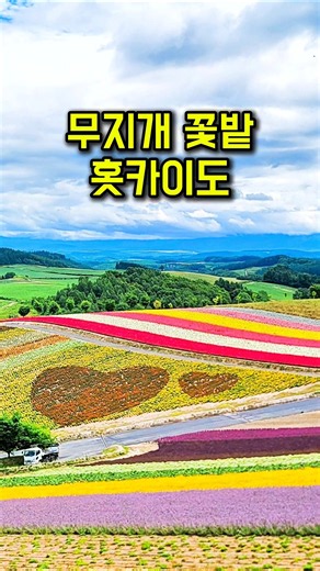 Hokkaido Travel 🌈 Shikisai-no-Oka Biei | A Must-Visit Summer Destination [SUB] #travelingpharmacist