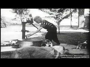 History of Public Health - JHSPH Online MPH & JHU History of Medicine Online Program