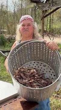 Shrimp Boil! Easy Peel!