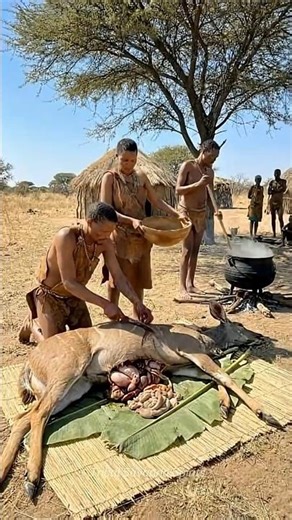 Ancient Art of Kudu Butchering: San Bushmen Survival