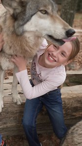 Experience an incredible hands-on encounter with wolves at the Seacrest Wolf Preserve. | VISIT FLORIDA | Facebook
