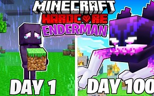 【MaxCraft】我以末影人的身份生存了100天